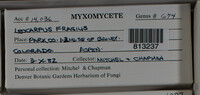 Image Associated With the Occurence